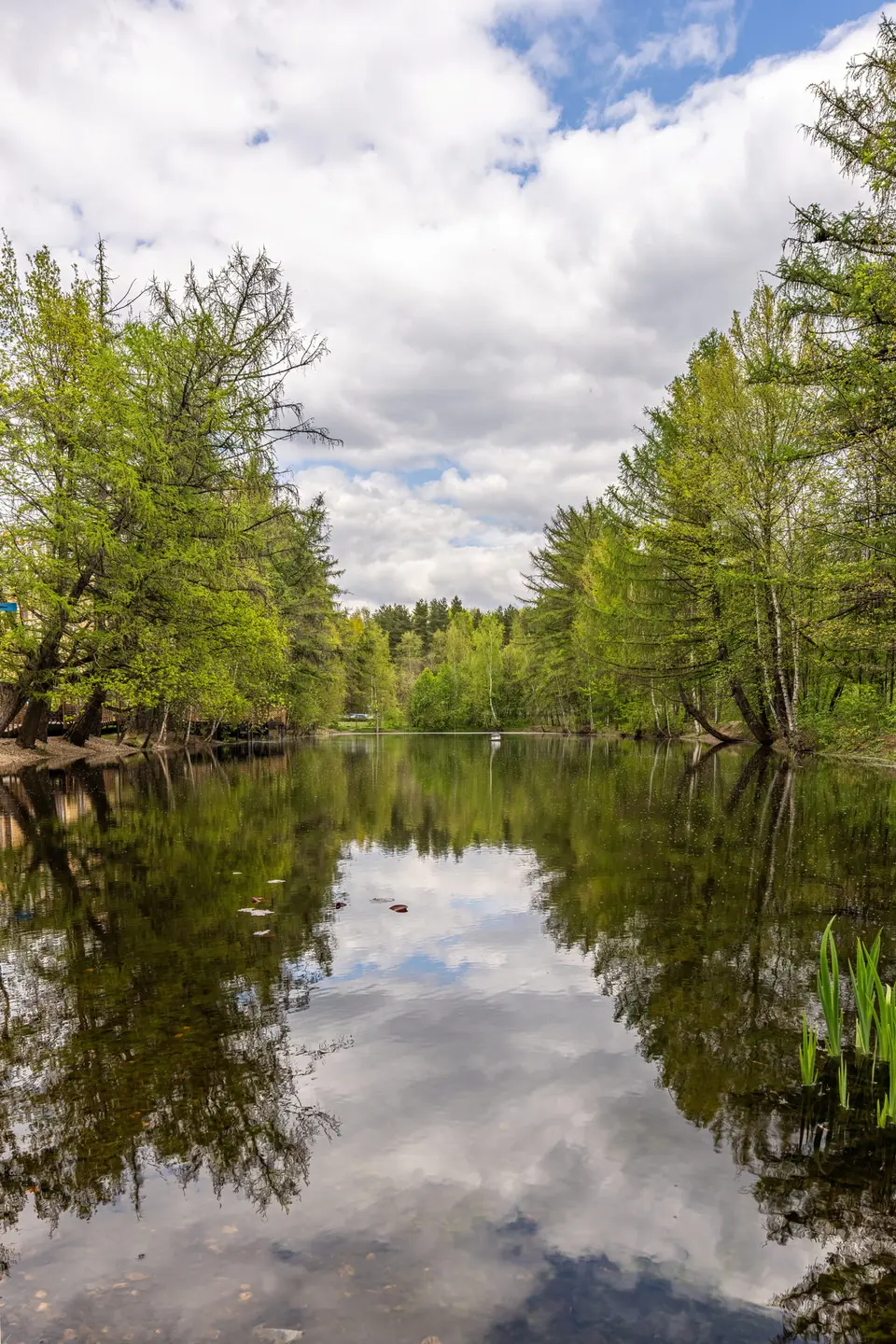 Леса и парки