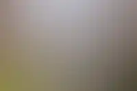 Фоновое изображение